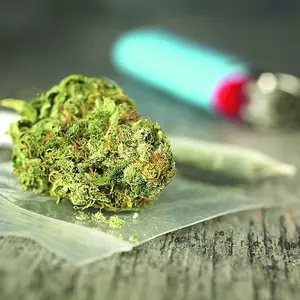 Mega Продукт рынка Cannabis